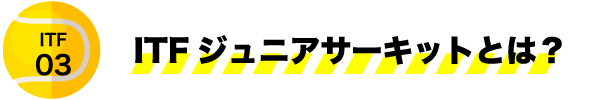 どんなレベル、どんな目的の方でも留学可能